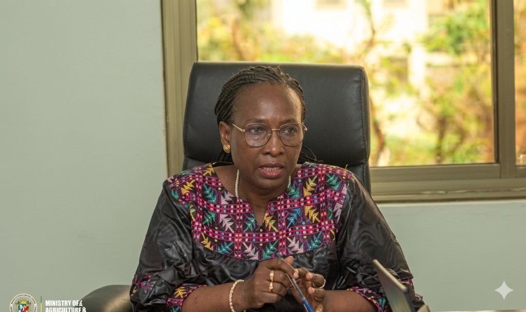 Chantal Chambu Mwavita en reunion institutionnelle